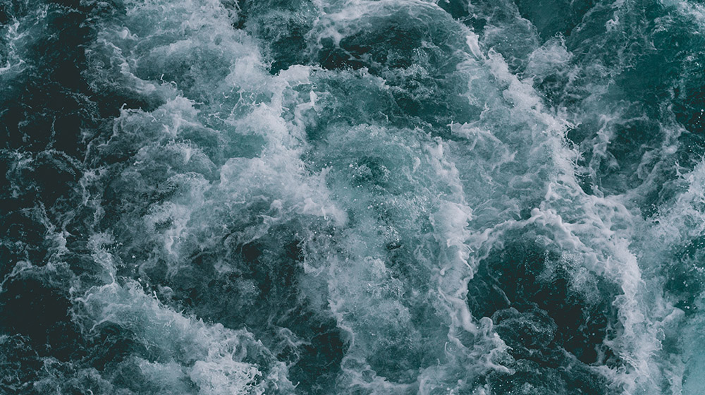 What the Sea Gives me